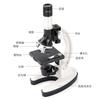 Children'S Metal Microscope 1200 Times Magnification Goggles, Primary School Students Science Laboratory Toys