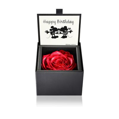 AMOROSA MODERNO Preserved Flowers In a Diamond Rose Box 85 Bright Red Perfect for Happy and White Day Perfect As a Dried Flower Gift for Product