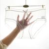 Yousheng Sexy Underwear for Women Ultra Thin See Through Sheer Mesh Panties Seamless Mid Waisted Hipster Briefs