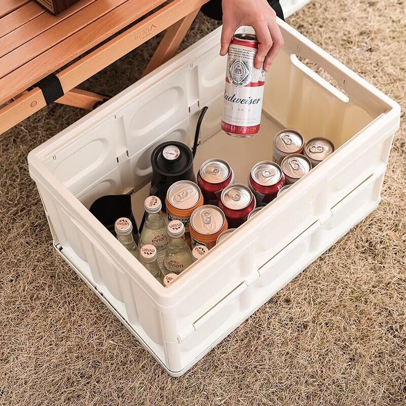 FeiTuLe 30L Collapsible Camping Storage Box