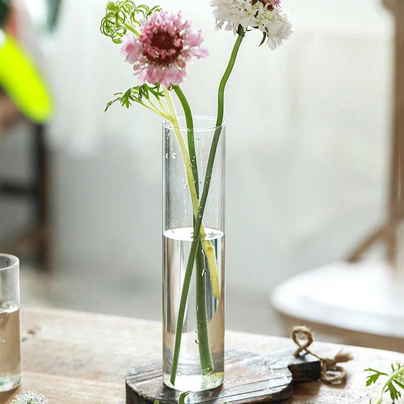 Hydroponics Plants Desktop Glass Planter Vase Glass Vase Transparent Cylinder Flower Vase Bedroom Desktop Home Decoration
