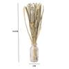 Liliana Dried Floral Silver Haze (small) | 11.5 X 5.5 X 37.5 Cm