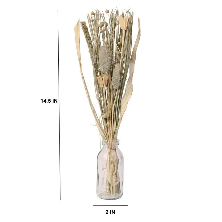 Liliana Dried Floral Silver Haze (small) | 11.5 X 5.5 X 37.5 Cm