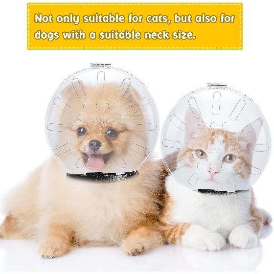 Cat Muzzle Helmet Cat Mouth Cover Helmet Pet Grooming Muzzle Kitten Adjustable Hood Transparent Breathable Dog Face Mask Grooming Mask for Dog Pet