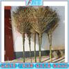 Heavy-Duty Bamboo Road Broom