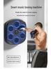 Bluetooth Smart Boxing Target for Home Fitness and Training