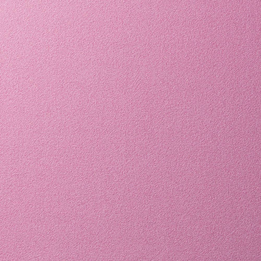 Nittaku Table Tennis Rubber Sieger PK50 Back Soft Tension Red Thick NR8728