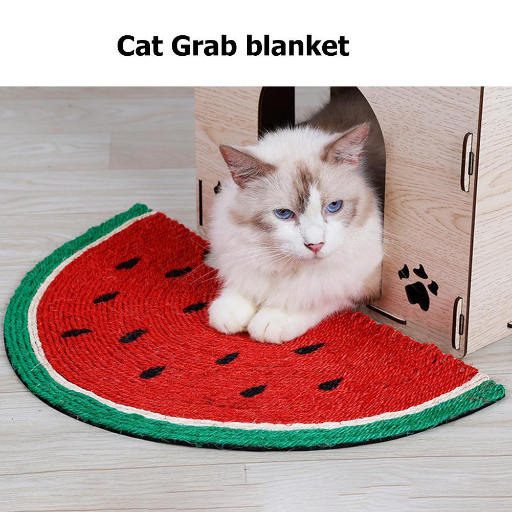 cat scratch proof carpet