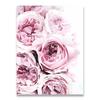 Nordic Minimalist Posters and Prints Pink Peony Flower Kids Room Decor Canvas Painting Wall Art Picture for Living Room No Frame