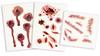 KO7529 Wound Tattoo - Interactive Effect for Parties and Creative Styling