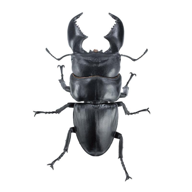 Sota Simulation Insect Model Giant Stag Beetle Palawan Sumatran Biological Illustration Collectible Figurine With Display Stand