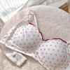 Sexy Women Push Up Bras Cute Bras For Girls Fashion Lingerie For Lady Sexy Underwear