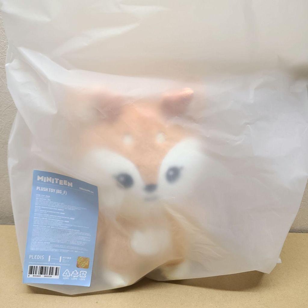 [USED] MINITEEN Joshua Plush Toy Shasumi Mini Teen