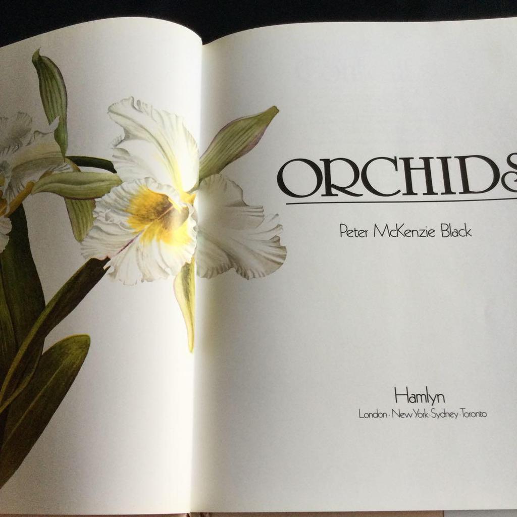 [USED] Orchids, botanical art, illustrated book, orchids, foreign books, orchids, orchids, flowers