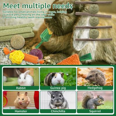 Rabbit Toys Set Safe Versatile Rabbits Hamster Chew Toys Kit Solid Small Wood Boredom Breakers Set for Your Pet Bunny Usage
