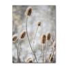 Scandinavo Natura Paesaggio Tela Pittura Erba Ponte Spiaggia Tramonto Wall Art Poster Stampa nordica Immagine moderna Home Decor