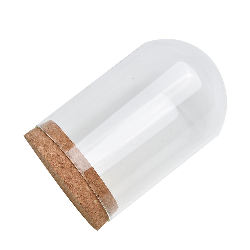 Glasdomabdeckung für Blume Sukkulenten Pflanzen DIY Staubdichte Abdeckungen Hülle Transparente Flasche Glasvase Desktop Heimdeko Zubehör