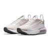 Nike Air Max 2090 GS Platinum Tint Light Violet Dětské tenisky Šedá Metalická-Platinum Crimson-Bliss CJ4066-014