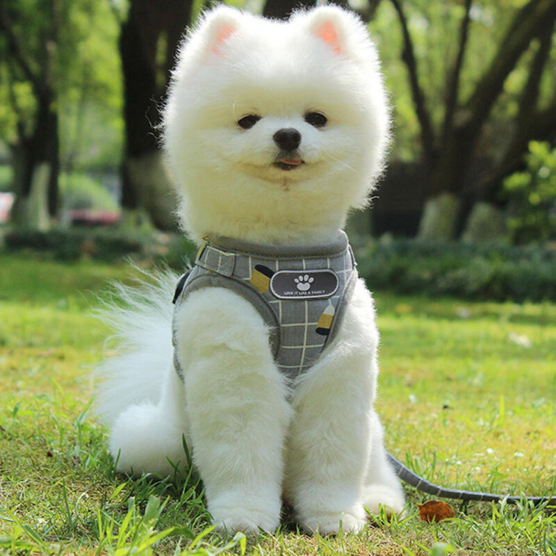 Love It Dog Harness + Leash (M/Gray)