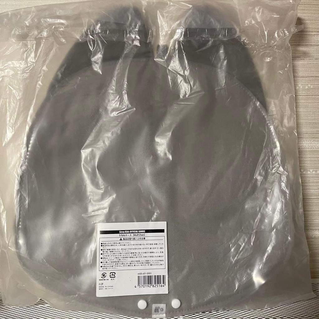 [USED] Stray Kids Bang Chan and Wolf Chan Fan Cover