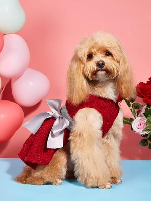 Dog TuTu Dress for Small Dogs  Clothes Puppy Premium Princess Dress with  Bow Party Doggie Pet Elegant Costume Apparel for Dogs
