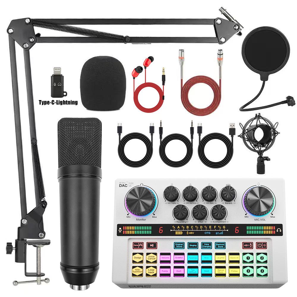 Y200 48V Zvuková karta & Rameno s mikrofonem pro živé vysílání & Podcasting