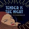 Tender Is the Night by F. Scott Fitzgerald Paperback Book 9781785996290