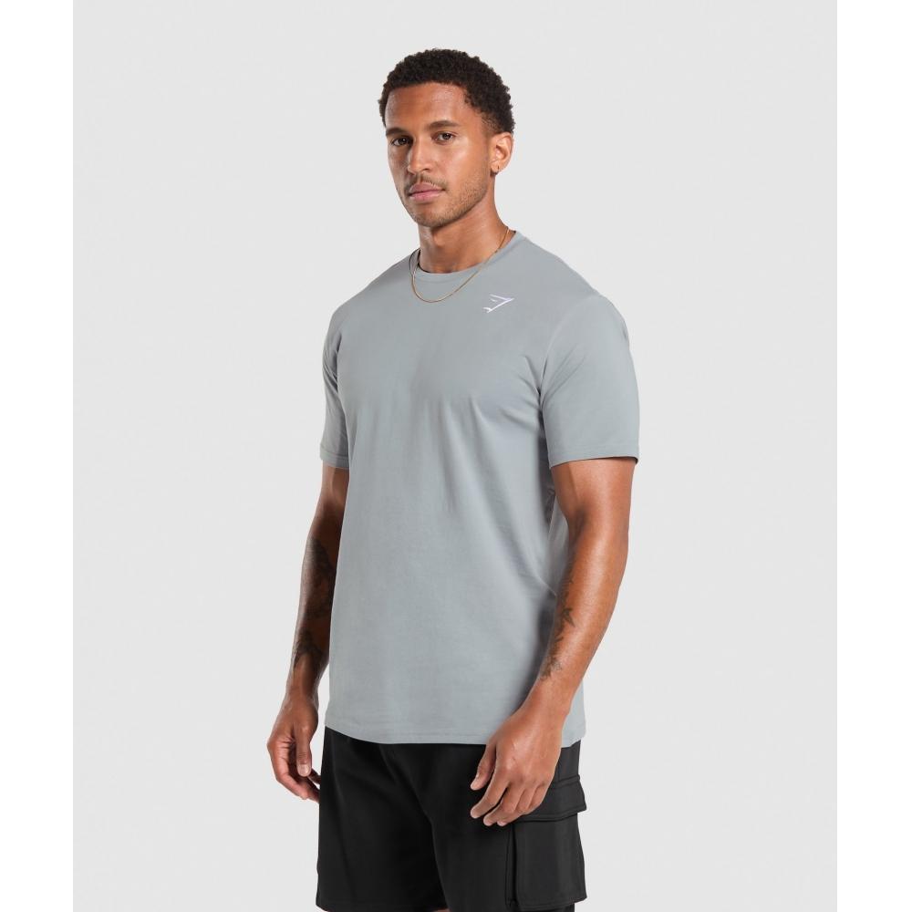 Gymshark CresT T shirT Denim Grey A1a3j Gcqs
