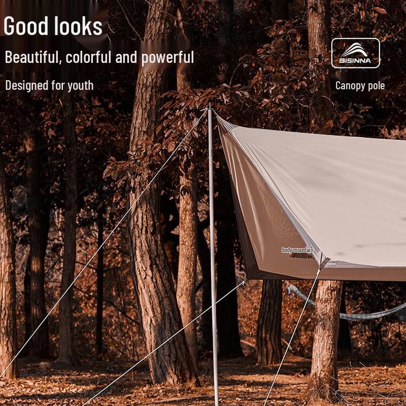 Extendable Outdoor Tent & Canopy Support Poles