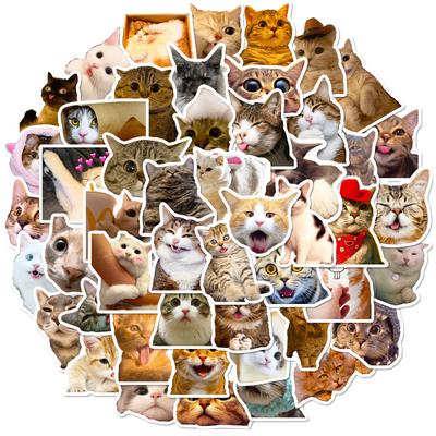 50 Realistic Kitten Stickers Cute Cat Expression Creative Decorative Water Cup Notebook Hand Account Stickers