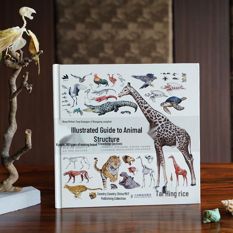 Illustrated Guide To Animal Anatomy