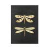 Vintage Moth Nature Insect Prints Posters Home Wall Decor Animal Educational Pictures Canvas Paintings Kids Room Art Decoration