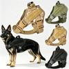 Cães – Colares e correias para cães