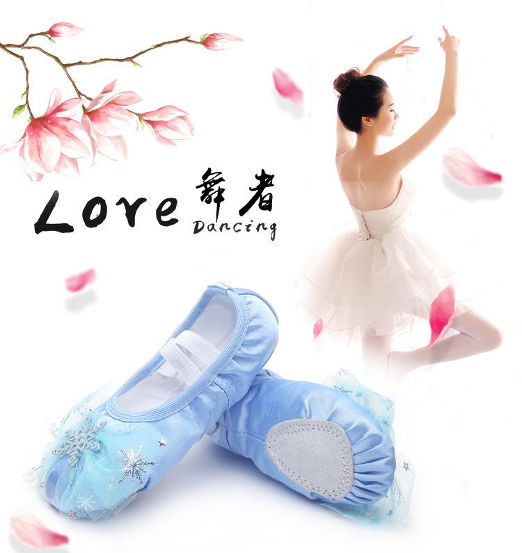 Girls' Princess Ballet Shoes - Soft Sole Dance Shoes for Chinese Dance & Body Training, Cat Paw Design (Style 8009)
