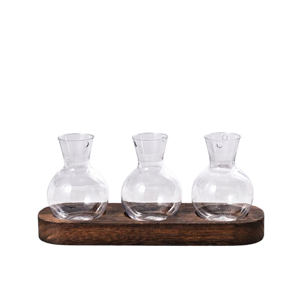 Creative Desktop Wooden Stand with Two Transparent Hydroponic Glass Vases for Home Decoration and Plant Display Modern Design