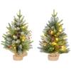 Set of Two 2ft Christmas Trees, with Lights, Berries and Pinecones