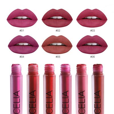 Miss Rose Make Up 24 Culoare Buze Piaţa Tube Capacul Negru Mat Zt