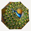 1PC Peacock FeatherAutomatic Open/Close Umbrella with Windproof, 8-Rib Sturdy Canopy, Durable Ribs, Fashionable Design, Outdoor Accessory, Fun Prin, H