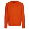 Neutral Unisex Adult Sweatshirt