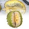 Durian Removable Plush Toy Dolls Soft Room Decoration Ornament Gifts Children