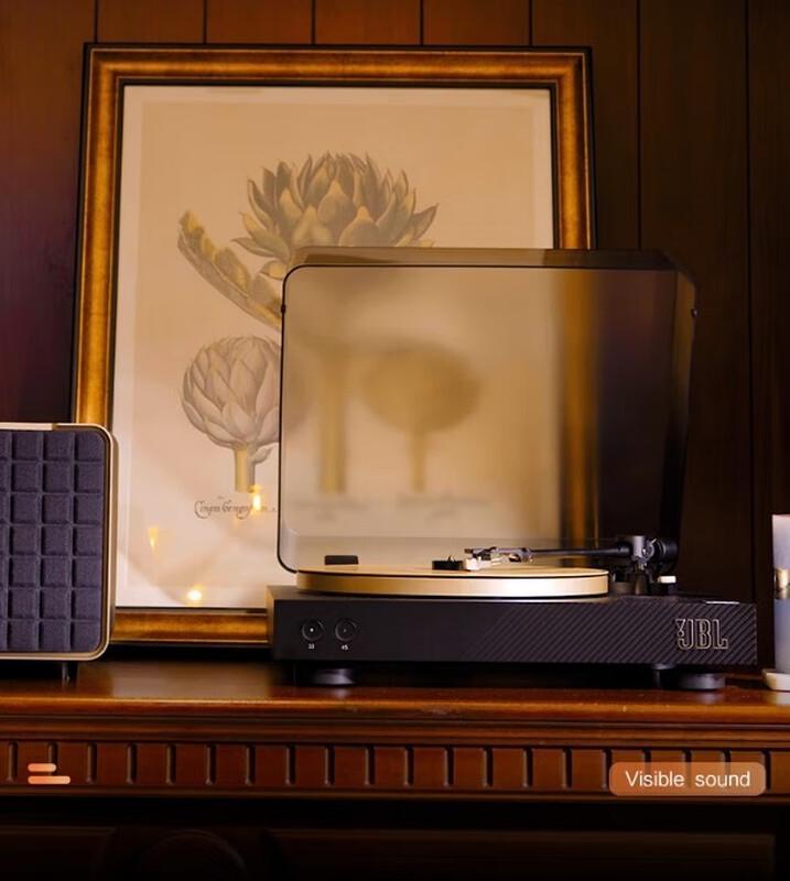 

JBL Spinner BT Wireless Bluetooth Turntable