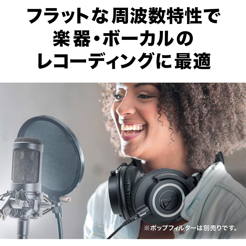 Audio-Technica AT2035 Condenser Microphone Single Directional/Low Cut Switch/Pad Switch/Exclusive...
