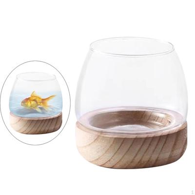 Clear Glass Planter with Wooden Base for Indoor Plant Display