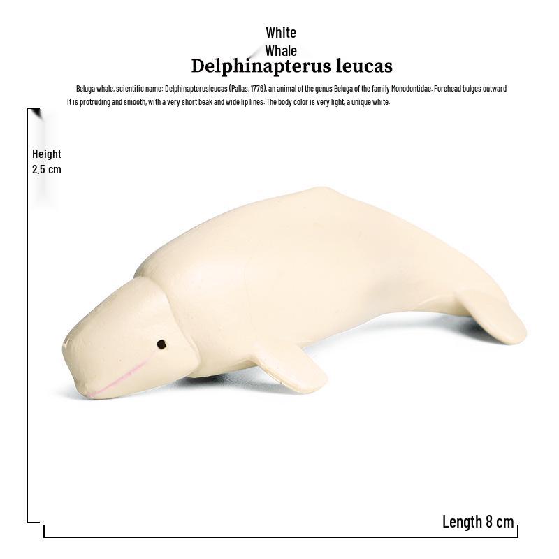 Children's Marine Animal Toy Set: Megalodon, Beluga, Octopus, Turtle, Dolphin & Manta Ray