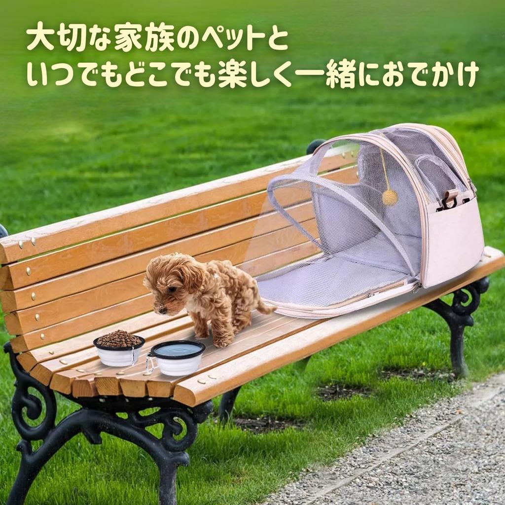 COZENTA Pet Carrier for Dogs and Breathable Cats, Foldable, Mesh, 3-Way Shoulder/Handbag/Backpack (Black)