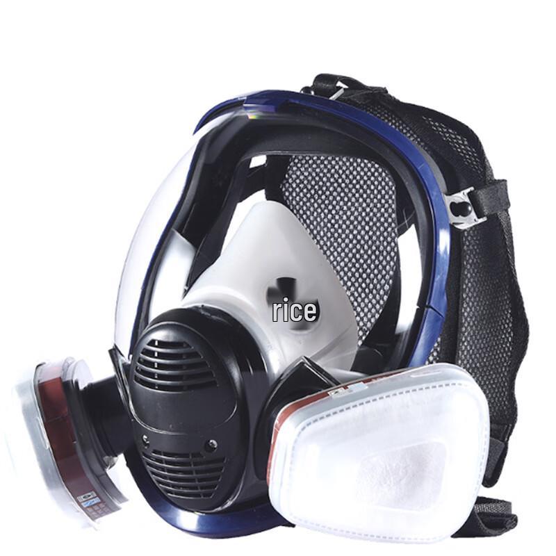 Schutzschild Vollgesichts-Gasmasken-Set