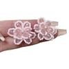 Silver Needle Sweet Crystal Pearl Flower Stud Earrings Women's, New Design Earrings Temperament Earrings