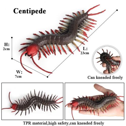 EUHELOPA Centipede Figure, Centipede Model, Chilopoda, Toy, Stress Reliever, Arthropod, Plastic Model, Realistic TPR Material, Decorative Ornament, Op