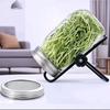 Seed Sprouting Glass Mason Jar with Stainless Steel Lid and Stand
