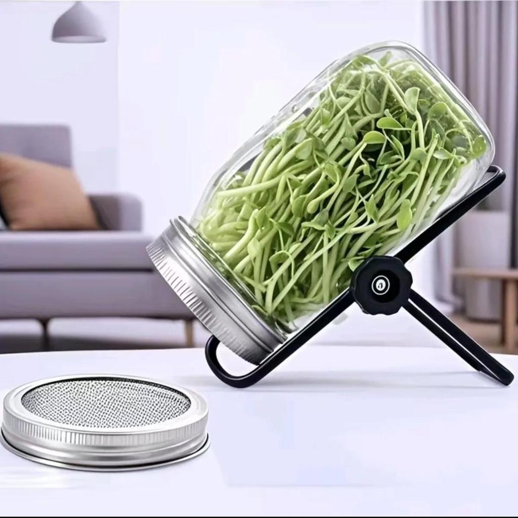 Seed Sprouting Glass Mason Jar with Stainless Steel Lid and Stand